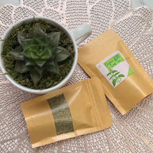 Load image into Gallery viewer, Organic Nettle Leaf Tea
